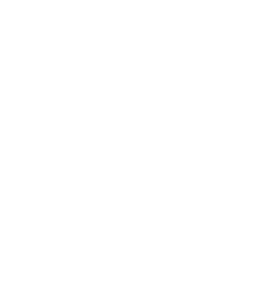 pałac antonin
